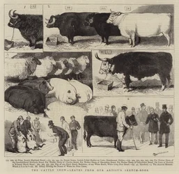 The Cattle Show, leaves from our Artist